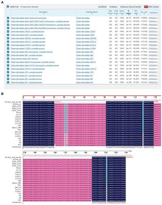 Development of a Lateral Flow Strip-Based Recombinase-Aided Amplification for Active Chlamydia psittaci Infection